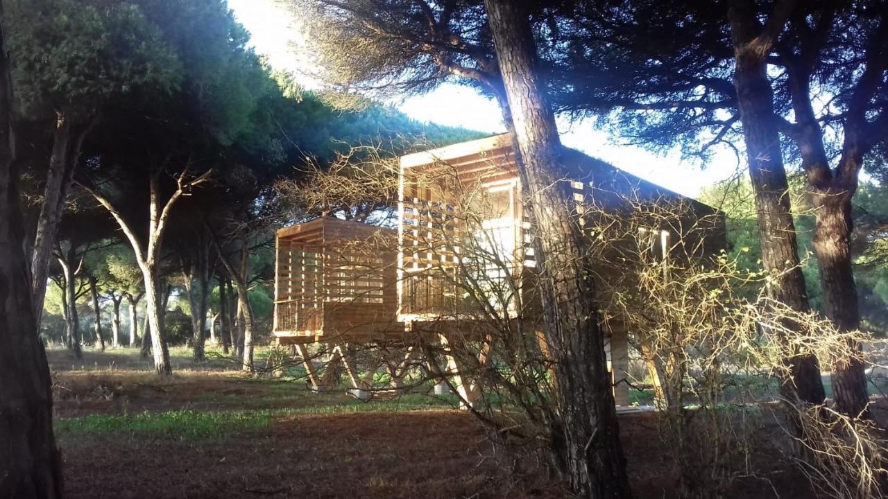 Micielo - Baumhaeuser Vejer de la Frontera Exterior foto