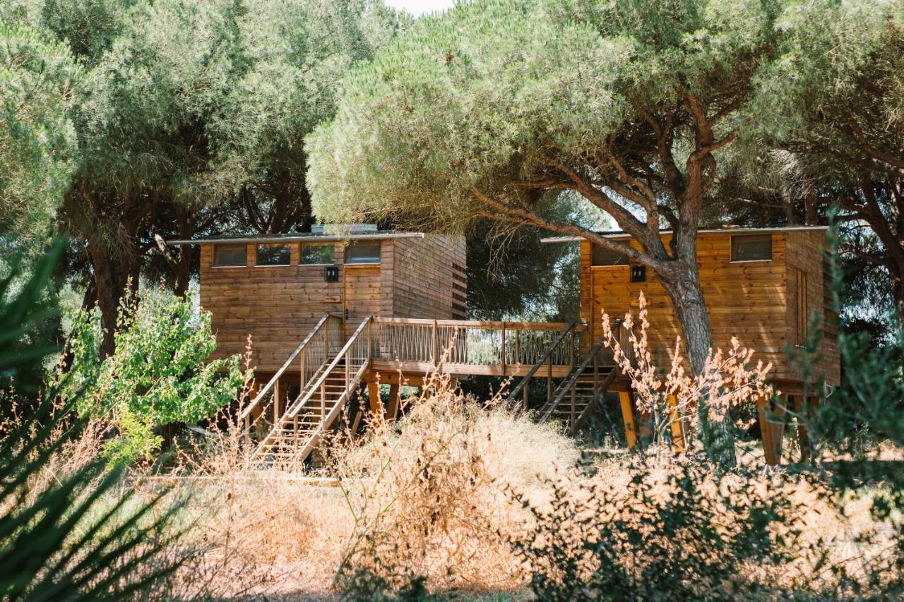 Micielo - Baumhaeuser Vejer de la Frontera Exterior foto